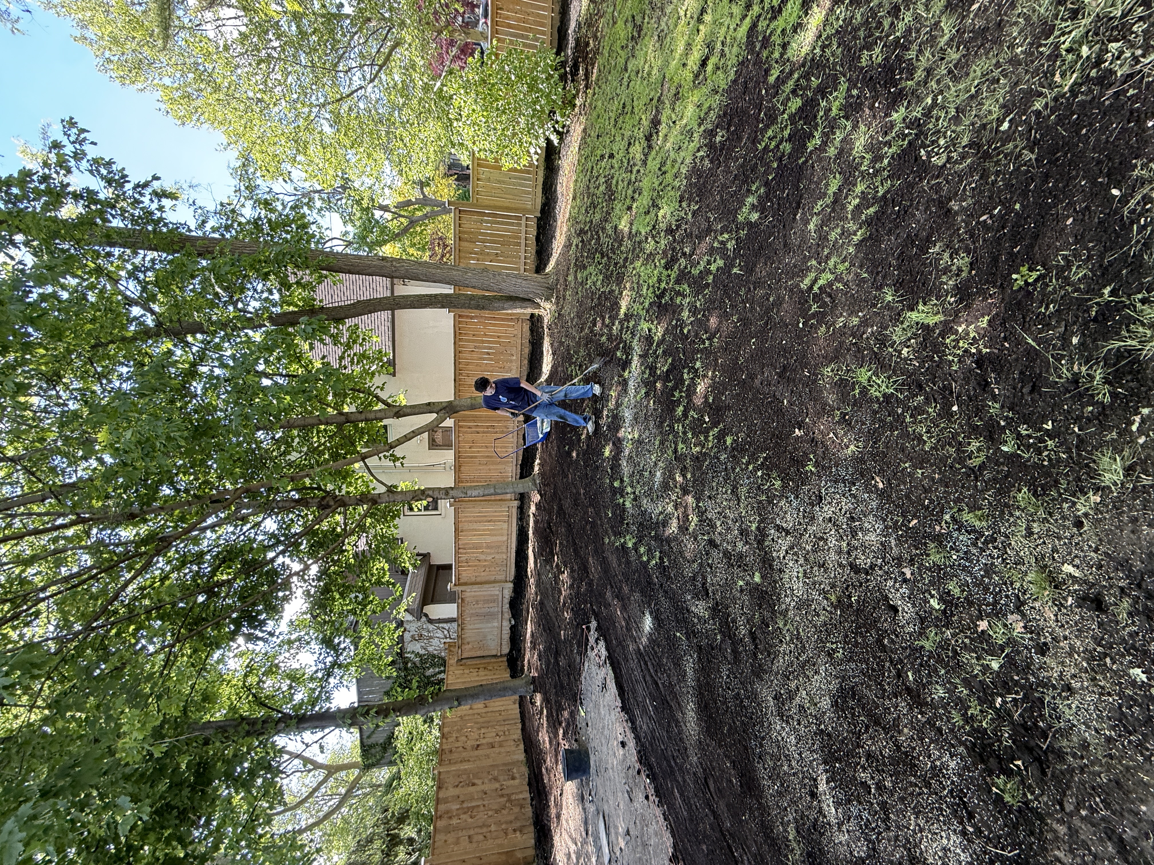 Backyard lawn torn out and beds dug during rebuild